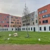gevangenis_haren.jpg