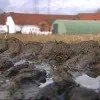 landbouw5.jpg
