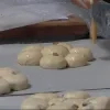 bakker2.jpg