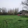 Oude houtzagerij maakt plaats voor uitbreiding natuurgebied in Wemmel