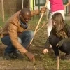 schooltuin2.jpg