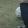 sport.png