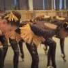 ballerino.jpg