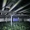 Anoniem drugsmeldpunt van de provincie ontving dit jaar 114 meldingen
