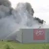 lotus.jpg