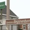 begijnborre.jpg