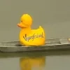 eerste_vijverfestival.png