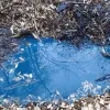 Blauw water langs de Overnellebeek in Asse