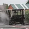 brand_halle_bus.jpg