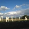 amaized1.jpg