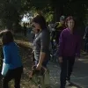 dalemansbos2.jpg