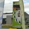 dasa_asse.jpg