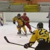 ijshockey3.jpg