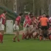 rugby_pajottenland.jpg