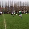 sterrebeek.jpg