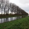 populieren_kanaal.jpg
