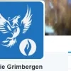 politie_op_twitter.jpg