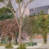 Simulatiebeeld aanbouw stadhuis Halle