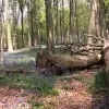 Neigembos