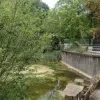 Vergeten oase in Linkebeek