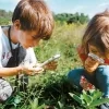 Breng de fauna en flora in je buurt in kaart