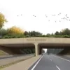 ecoduct_groenendaal_-_witteveenbos_en_cluster_iov_lifeozon-300.jpg
