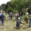 Hommels tellen op de Kesterheide