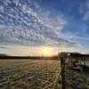 De tuin van Eden in Elingen