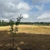 Zaventem verkoopt grond aan Elia voor bouw hoogspanningscabine