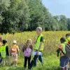 Leerlingen van de Zomerschool in Lennik op stap met Natuurpunt