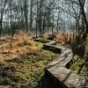 Wellemeersen