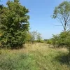 Gemeente weigert vergunning voor zonnepanelenpark Hekelgem