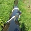 Mazout in de Puttenbeek in Opwijk