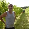 Prima zomer voor wijnboeren in de regio