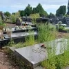 Onkruid woekert op begraafplaats van Vilvoorde: “Soms metershoog” 