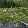 Storm treft Pajottegem en Ternat