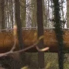 voetgangersbrug_3_fonteinen.jpg
