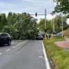 Op de Verbindingsweg naast de A12 in Meise is een boom omgewaaid