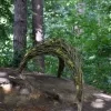 Nature Art 2025