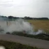 wambeek_-_bermbrand_01.jpg