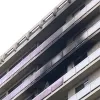 brand_vogelenzang_leeuw.jpg