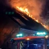 leeuw_brand.jpg