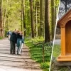 Een lege Sint-Waltrudiskapel in het Hallerbos. 