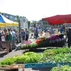 Donderdagmarkt Kapelle-Op-den-Bos