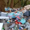 De provincie Vlaams-Brabant heeft in Groot‑Bijgaarden maar liefst 21 ton afval geruimd