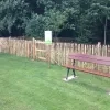 180627_losloopzone_honden_park_drie_fonteinen_1.jpg