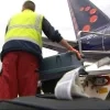 82792_afhandelaar_swissport_3.jpg