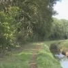 hellebos.png