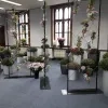 expo_chrysanten.jpg