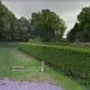 boomgaardwijkdrogenbos.png